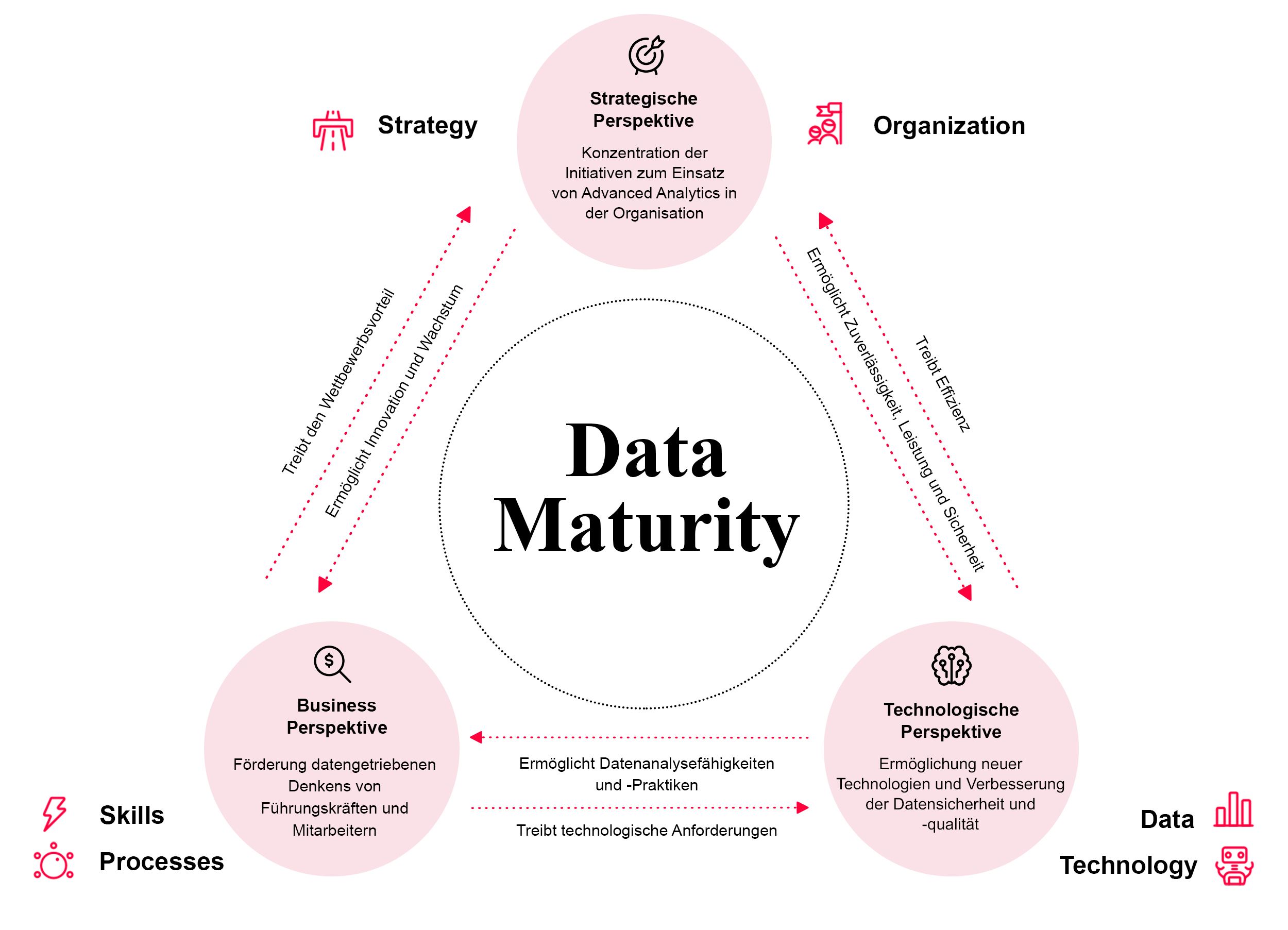 Wechselwirkungen der Perspektiven von Data Maturity
