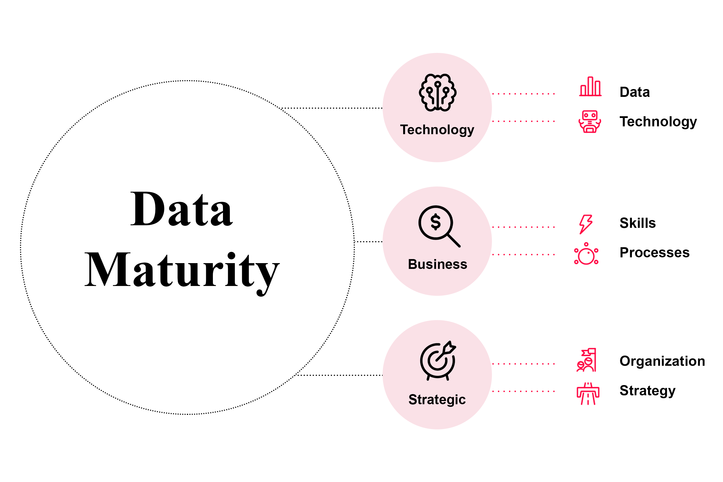 Data Maturity